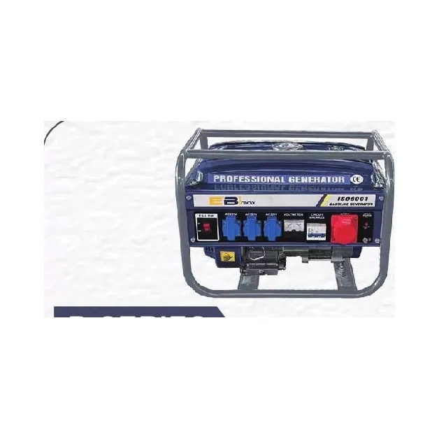 Gasoline Generator (P-Series)