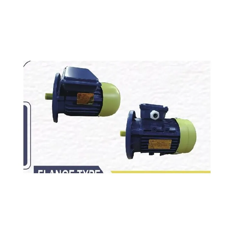 Electric Motor (Flange Type)