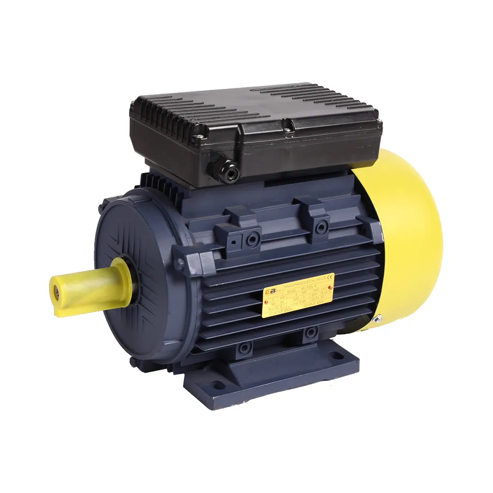 Electric Motor (YC&YL)