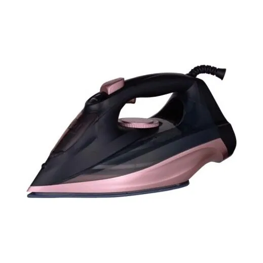 Steam Iron