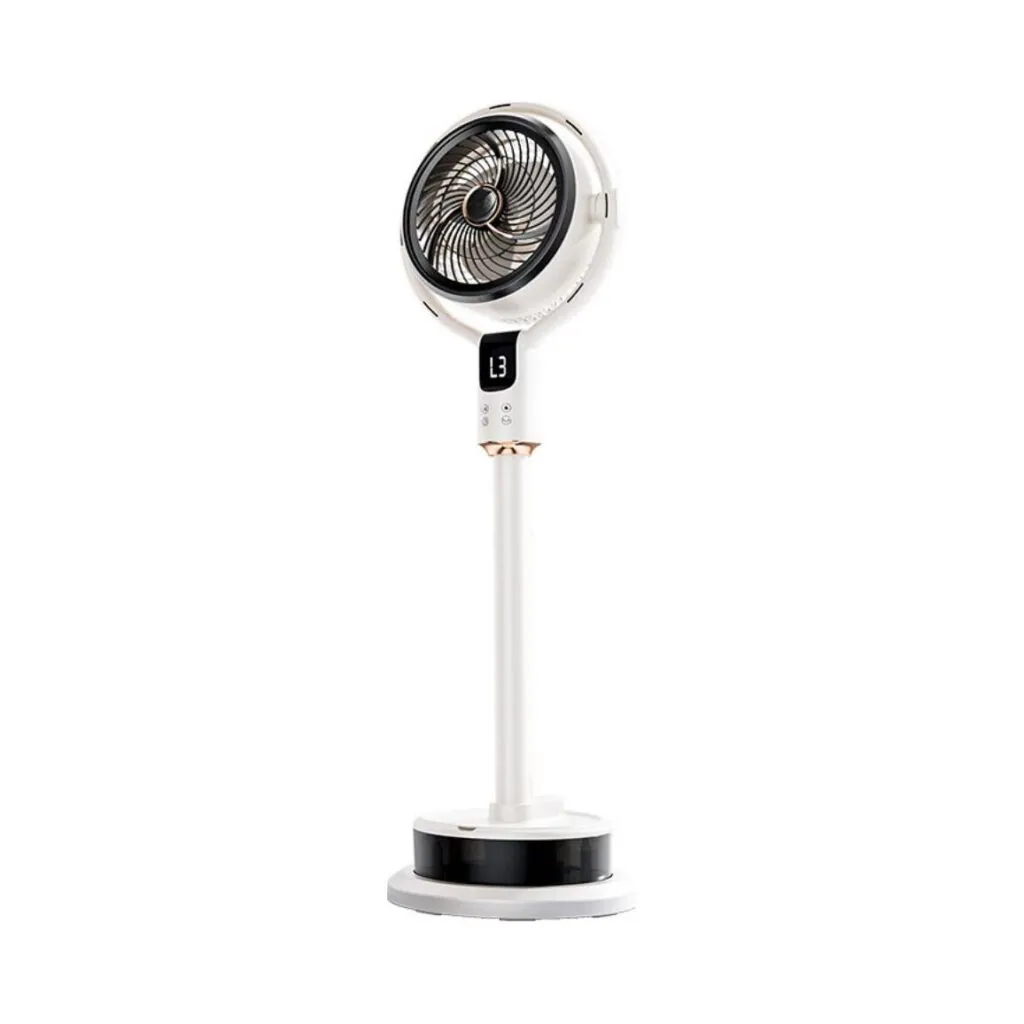 Electric Fan